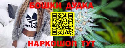 индика Кулебаки