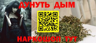 индика Кулебаки