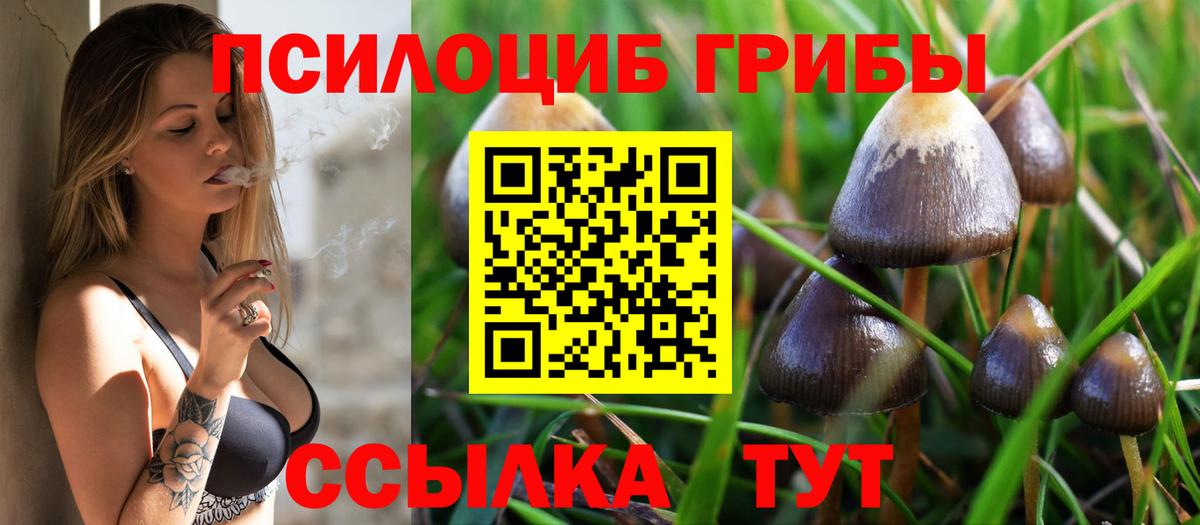 Валуйки  наркошоп  Вход с VPN  Галлюциногенные грибы Psilocybine cubensis 